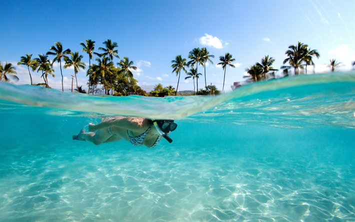 Seychellerna, Dykning, ocean, tropiska &#246;ar, underwater world