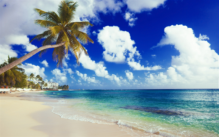 Palms, sea, tropical island, beach, summer, summer vacation