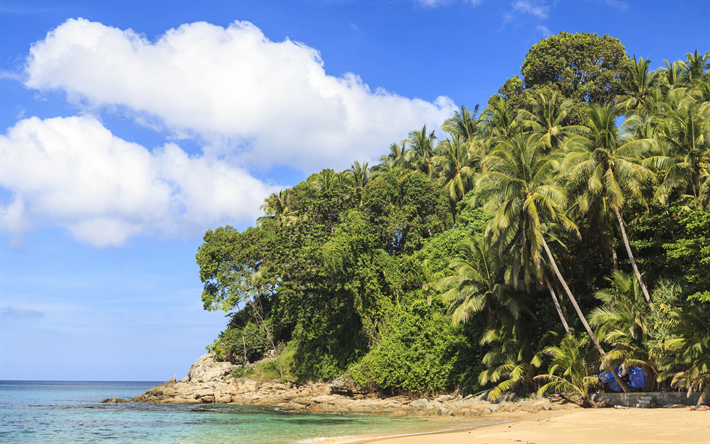 tropiska &#246;n, beach, palms, azurbl&#229; kusten, ocean, sommar, resor