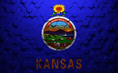 Flag of Kansas, honeycomb art, Kansas hexagons flag, Kansas, 3d hexagons art, Kansas flag