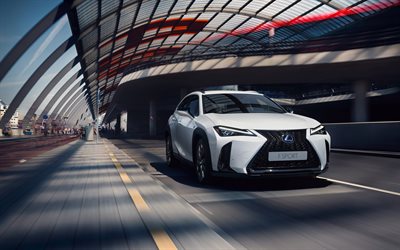Lexus UX, F SPORT, 2018, 250h, front view, luxury white crossover, new white UX, Japanese cars, Lexus