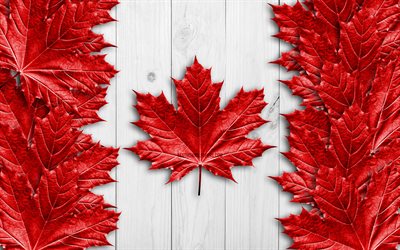Bandeira canadense, 4k, folhas vermelhas realistas, países da América do Norte, Dia do Canadá, Bandeira do Canadá, símbolos nacionais, bandeira do Canadá, bandeiras 3D, bandeira canadense de madeira, América do Norte, Canadá