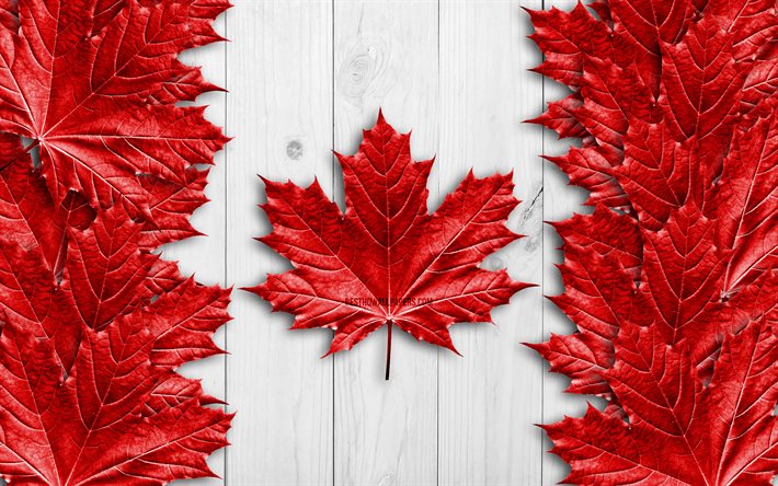 Kanada bayrağı, 4k, ger&#231;ek&#231;i kırmızı yapraklar, Kuzey Amerika &#252;lkeleri, Kanada G&#252;n&#252;, Kanada Bayrağı, ulusal semboller, 3D bayraklar, Kanada ahşap bayrağı, Kuzey Amerika, Kanada