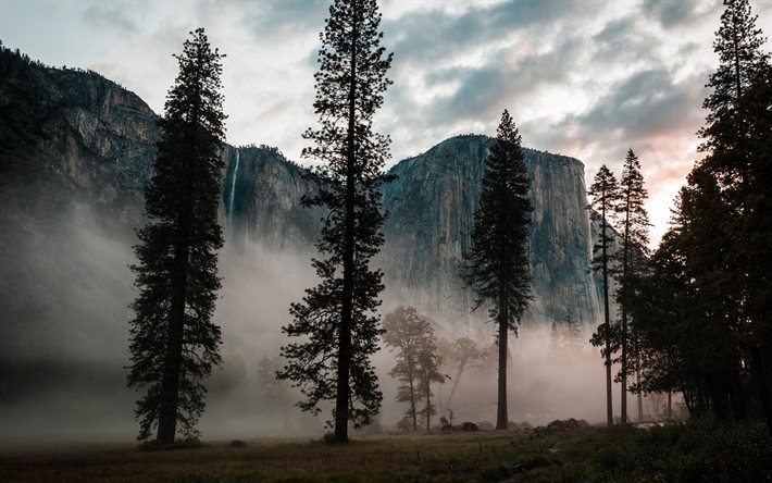 Yosemite, kv&#228;ll, solnedg&#229;ng, stenar, tr&#228;d, bergslandskap, Yosemite National Park, USA