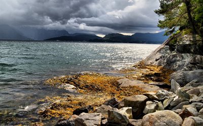 havet, v&#229;gor, kusten, storm, Norge, Hardangerfjorden