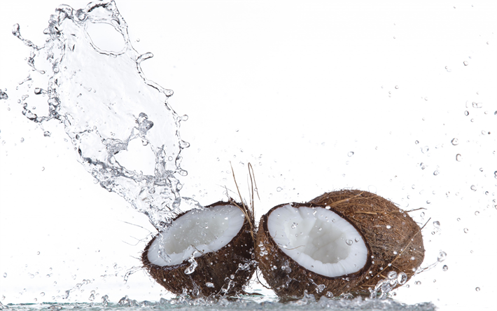 coconuts, splashes of water, fruit, water