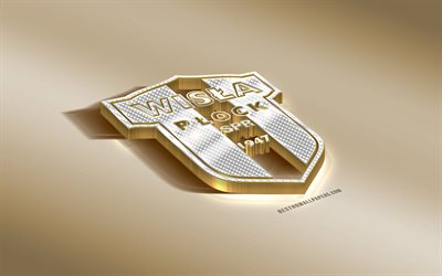 Wisla Plock SA, Polish football club, golden silver logo, Plock, Poland, Ekstraklasa, 3d golden emblem, creative 3d art, football