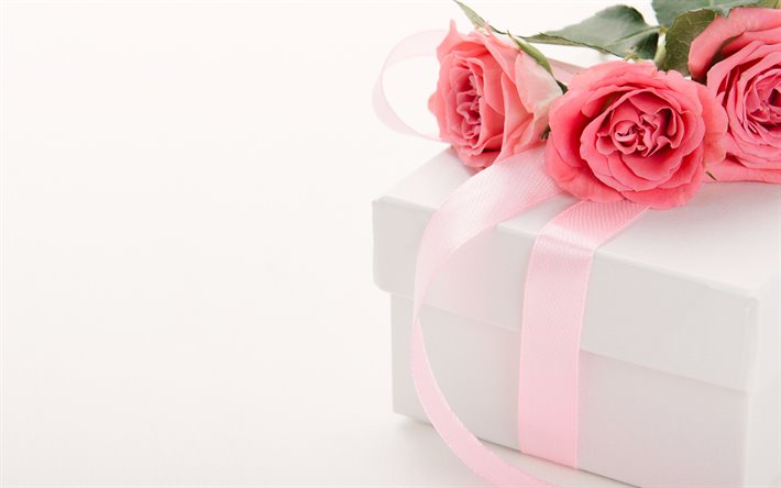 rosas cor-de-rosa, caixa de presente com cor-de-rosa de seda arco, rosas, lindo buqu&#234;, presente em um fundo branco
