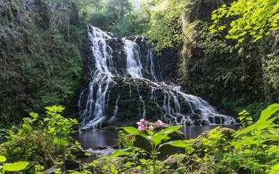 waterfall, rocks, rainforest, forest, summer, beautiful waterfall