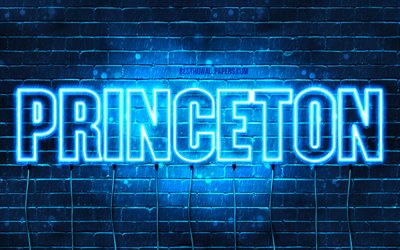Princeton, 4k, pap&#233;is de parede com os nomes de, texto horizontal, Princeton nome, luzes de neon azuis, imagem com nome de Princeton