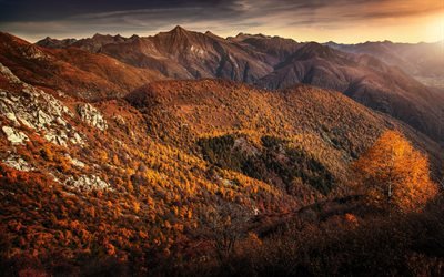 automne, paysage de montagne, coucher de soleil, le jaune des arbres, paysage, Canada