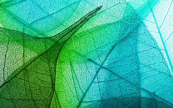 textura de hoja, verde hoja, verde abstracci&#243;n, 3d verde hoja