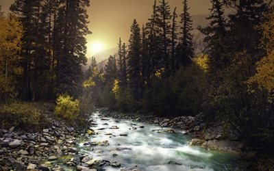 mountain river, sunset, forest, green trees, mountain landscape