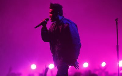 The Weeknd, Abel Makkonen Tesfaye, concert, purple light, Canadian singer