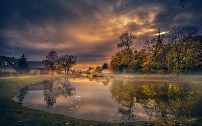 autumn, lake, village, white swan, sunset
