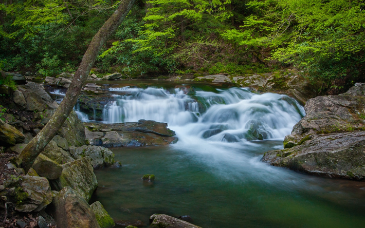 waterfall, mountain river, forest, green trees, stones in the water