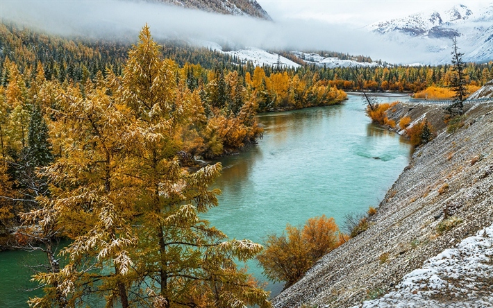 Monti Altai, autunno, Chuya fiume, Altai, Russia, neve, paesaggio di montagna, giallo alberi