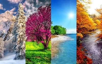 4 seasons, 4K, winter, spring, summer, autumn, seasons concepts
