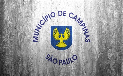 Flag of Campinas, 4k, stone background, Brazilian city, grunge flag, Campinas, Brazil, Campinas flag, grunge art, stone texture, flags of brazilian cities