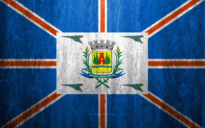 Flag of Araguari, 4k, stone background, Brazilian city, grunge flag, Araguari, Brazil, Araguari flag, grunge art, stone texture, flags of brazilian cities