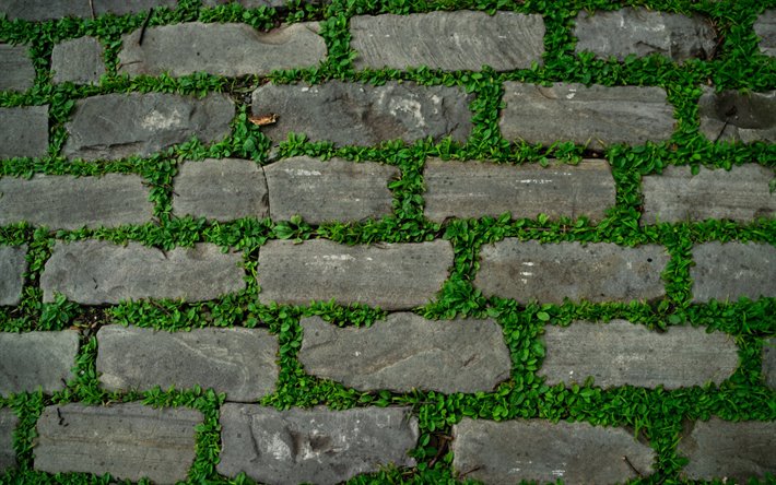 tuğla, taş dokusu, eski taş arka plan arasındaki gri tuğla duvar dokusu, yeşil yapraklar