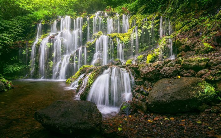 Banyu Wana Amertha Waterfall, jungle, Bali, tropical islands, beautiful waterfall, Indonesia