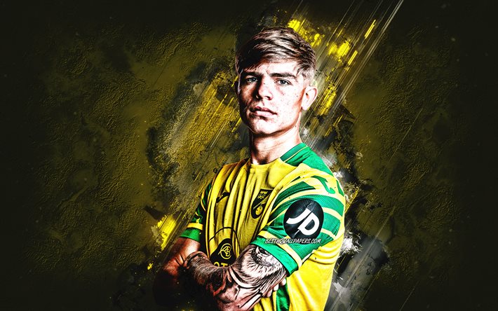 Brandon Williams, Norwich City FC, footballeur anglais, portrait, Premier League, fond de pierre jaune, football