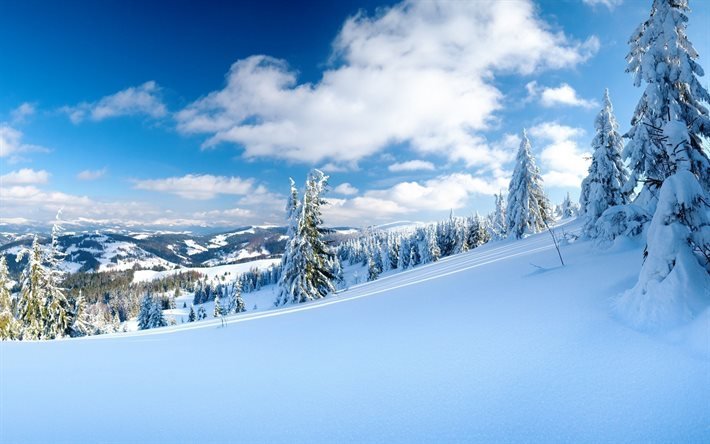 inverno, montanhas, neve, &#225;rvores, paisagem de montanha, paisagem de inverno