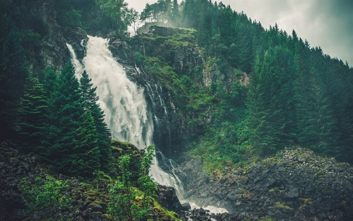 waterfall, rock, forest, falling water