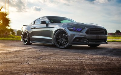 Ford Mustang, 2017, gri spor coupe, tuning, mor farlar, siyah jantlar Niş tekerlekler