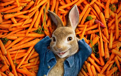 Peter Coniglio, 4k, poster, 2018 film, agricoltore, la carota, il coniglio, 3d, animazione