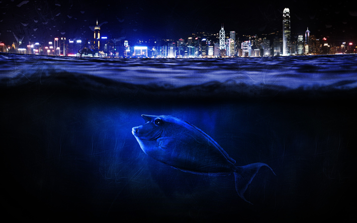 Jap&#227;o, Hong Kong, peixe, submarino, noturnas, &#193;sia