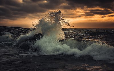 tempestade, grande onda, p&#244;r do sol, marinha, mar