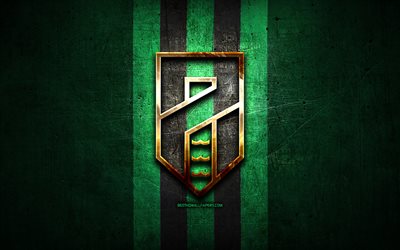 Pordenone FC, ouro logotipo, Serie B, metal verde de fundo, futebol, Pordenone De Futebol, italiano de futebol do clube, Pordenone logotipo, It&#225;lia