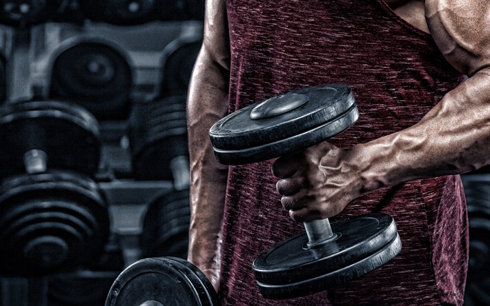 ダウンロード画像 Bodybuilding ジム Dumbbells使用実態をより適切に反映でき 上腕二頭筋演習 Dumbbells フィットネス フリー のピクチャを無料デスクトップの壁紙