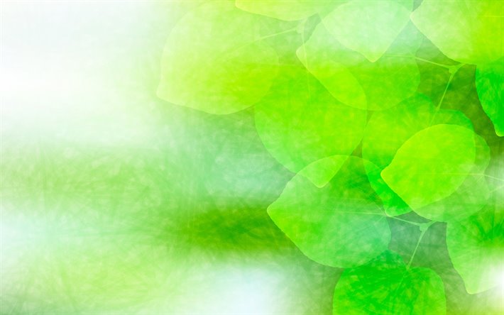 green leaves, green glare, abstract leaves, creative, abstract nature background