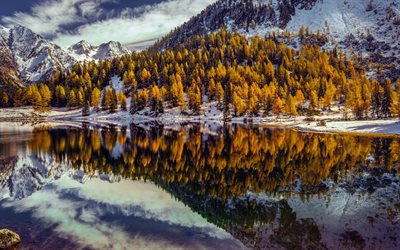 داخل schladminger تاورن, بحيرة جبلية, الشتاء, أول تساقط للثلوج, الأشجار الصفراء, المناظر الطبيعية الجبلية, جبال الألب, بحيرات النمسا