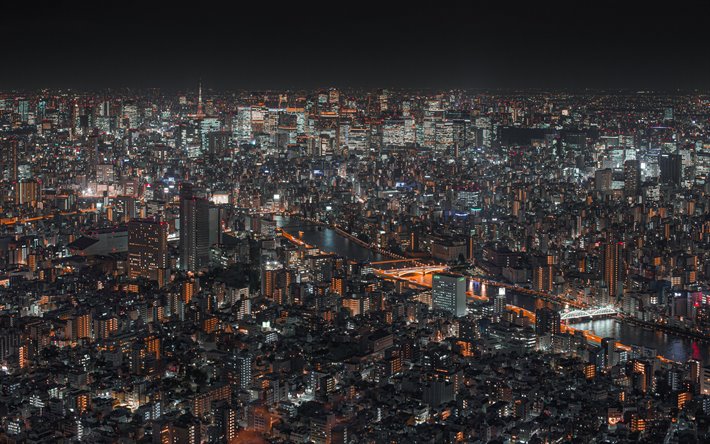Tokyo, metropoli, notte, edifici, citt&#224;, moderno, paesaggio urbano di Tokyo, Giappone