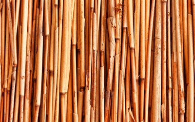 brown troncos de bambu, macro, bambusoideae varas, bambu texturas, brown bambu textura, canas de bambu, varas de bambu, de madeira marrom de fundo, horizontal de bambu textura, bambu