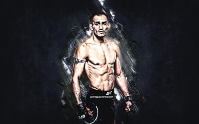 Tony Ferguson, american fighter, UFC, portrait, blue stone background, Ultimate Fighting Championship, Anthony Armand Ferguson