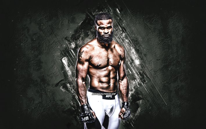 Tyron Woodley, UFC, アメリカの戦闘機, 肖像, グレーの石背景, 格闘大会