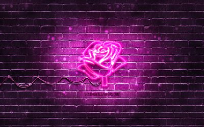 Icona al neon rosa viola, 4K, sfondo viola, simboli al neon, rosa viola, icone al neon, segno rosa viola, fiori al neon, segni della natura, icona rosa viola, icone della natura