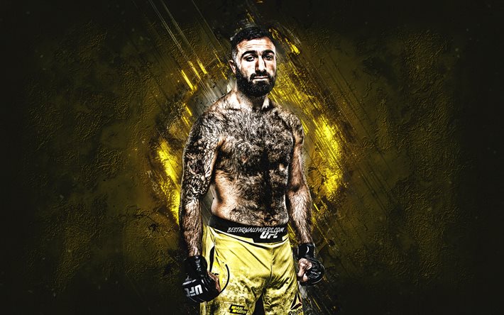 Rostem Akman, ММА, UFC, lutador sueco, retrato, fundo de pedra amarela