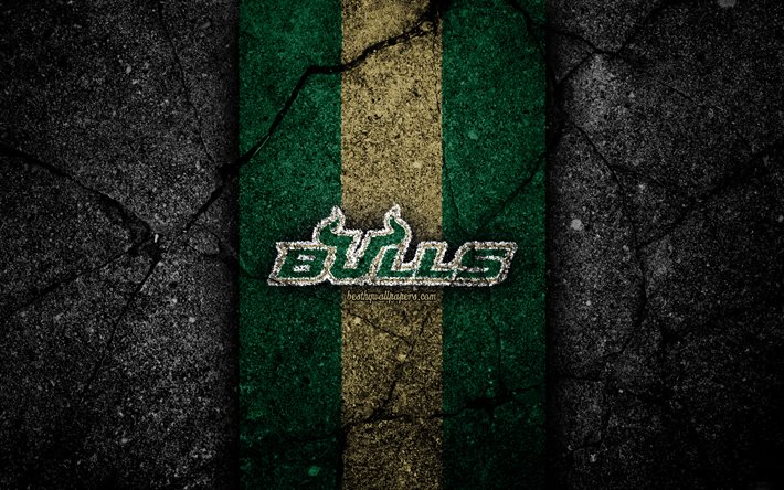 South Florida Bulls, 4k, time de futebol americano, NCAA, pedra verde marrom, EUA, textura de asfalto, futebol americano, logotipo do South Florida Bulls