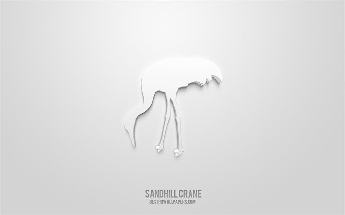 Icona 3d gru Sandhill, sfondo bianco, simboli 3d, gru Sandhill, icone animali, icone 3d, segno gru Sandhill, icone Animals 3d