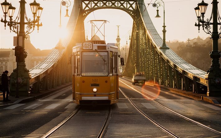 tram, evening Liberty Bridge, Budapest, Hungary, travel