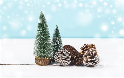 New Year, winter, 2018, Christmas tree, cones, snow