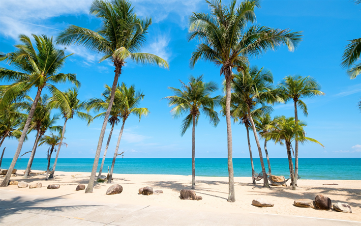 palms, beach, tropiska &#246;ar, Seychellerna, ocean, sommaren resor