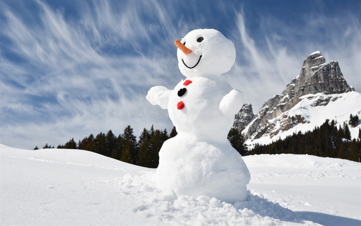 snowman, winter, mountain landscape, forest, snow