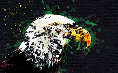 eagle, birds, predators, art, grunge, creative